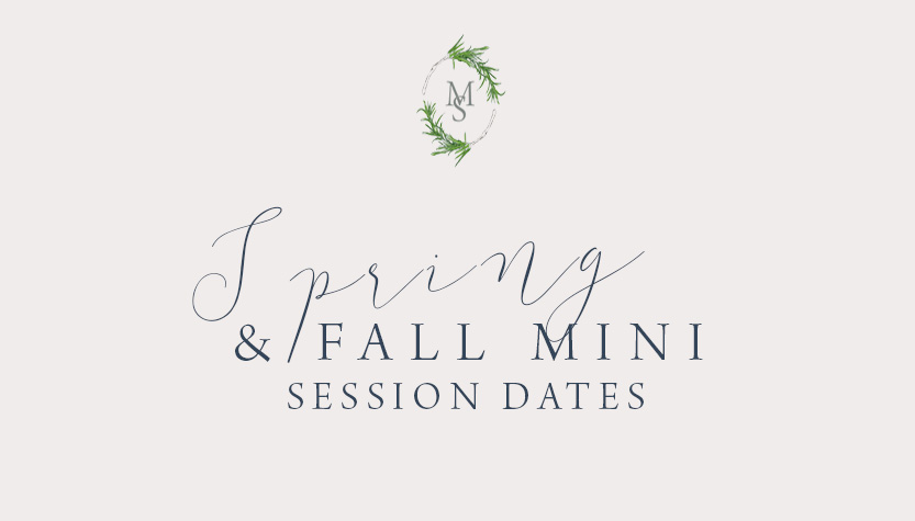 Spring and Fall Mini Session Dates, Small, Michelle and Sara Photography