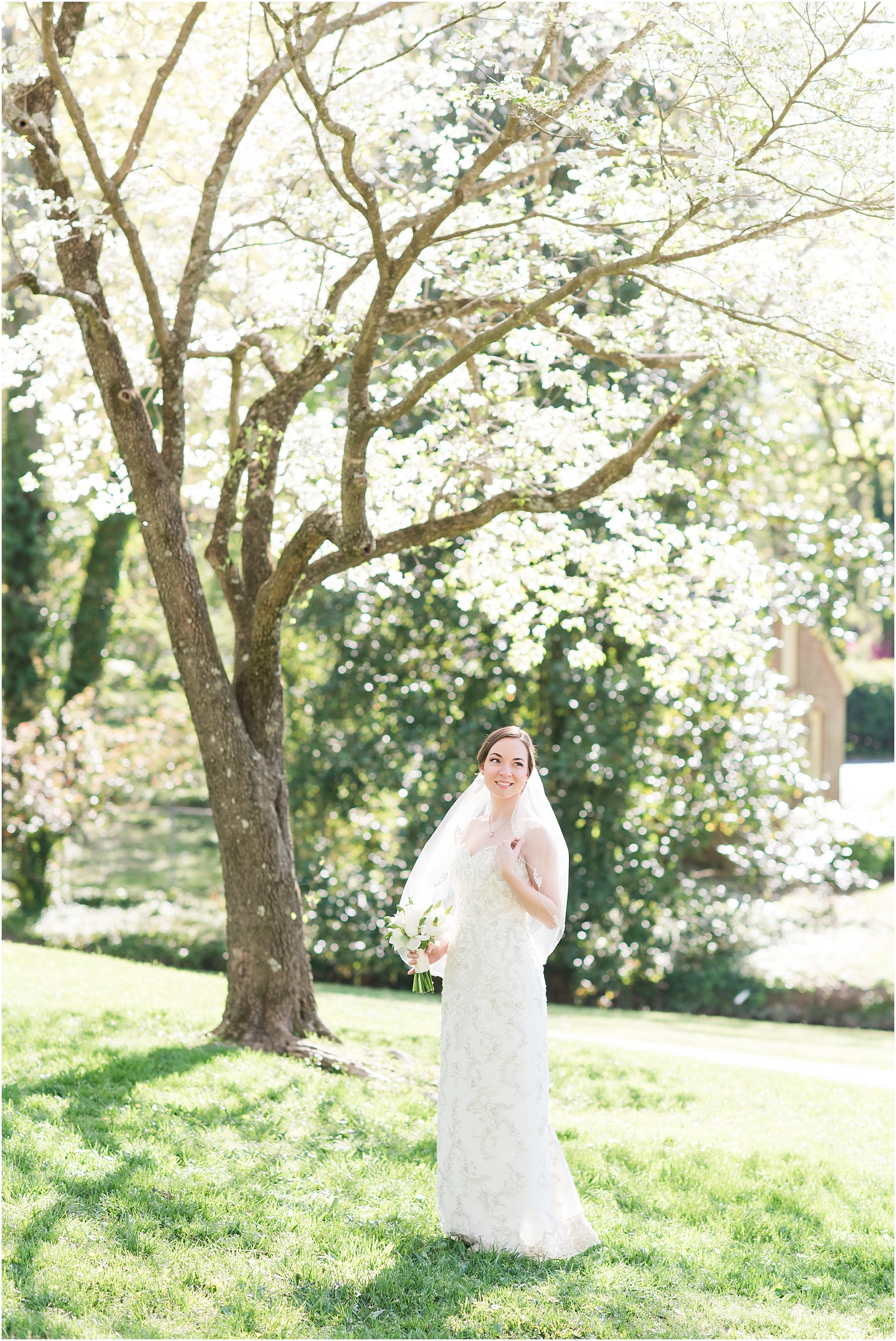 bride standing underneath a cherry blossom tree at a Home Estate