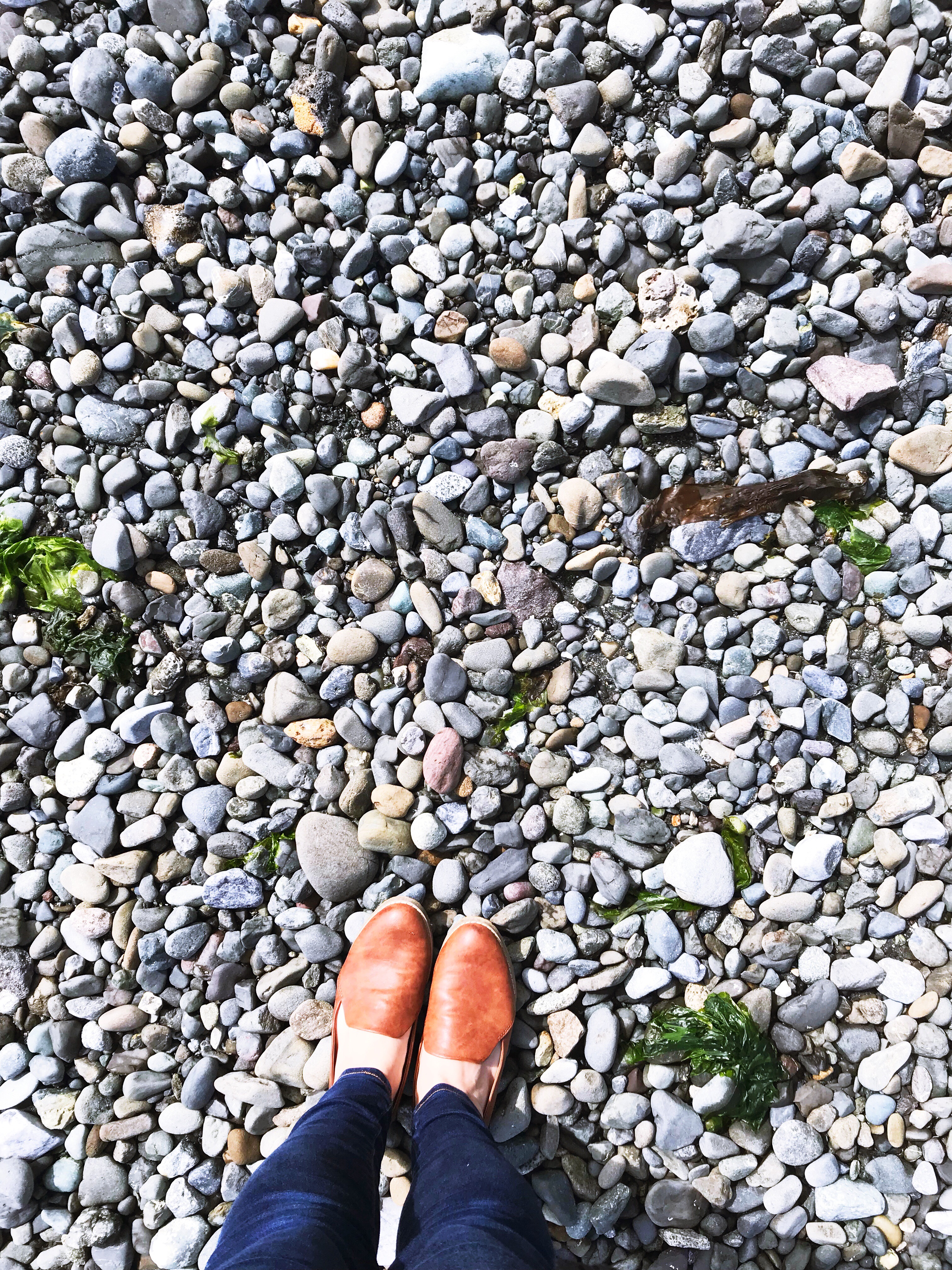 foot photograph standing on rocks on the shore of Port Angeles
