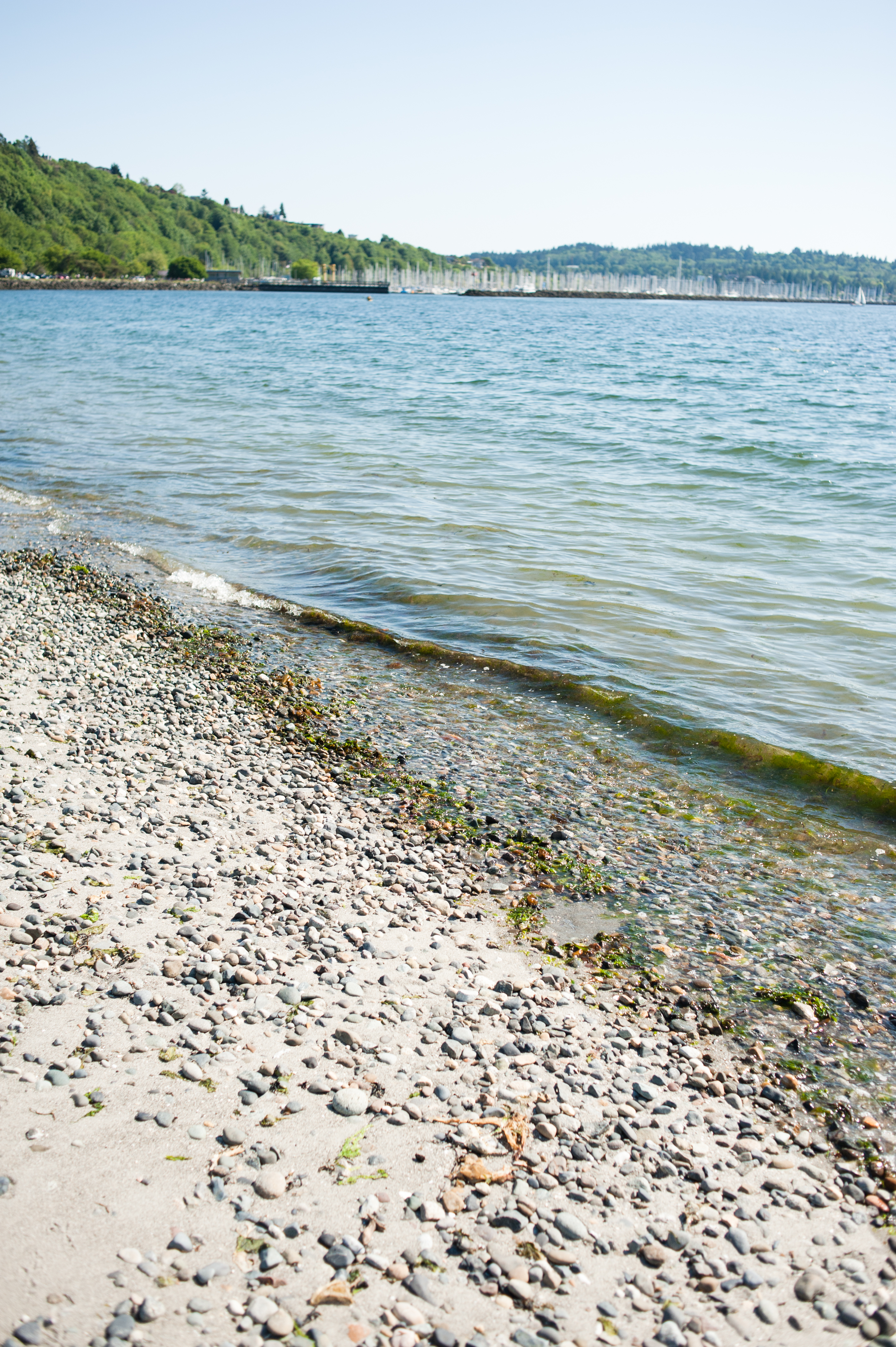 a photograph of the rocks and sand on the beach of Golden Gardens Park