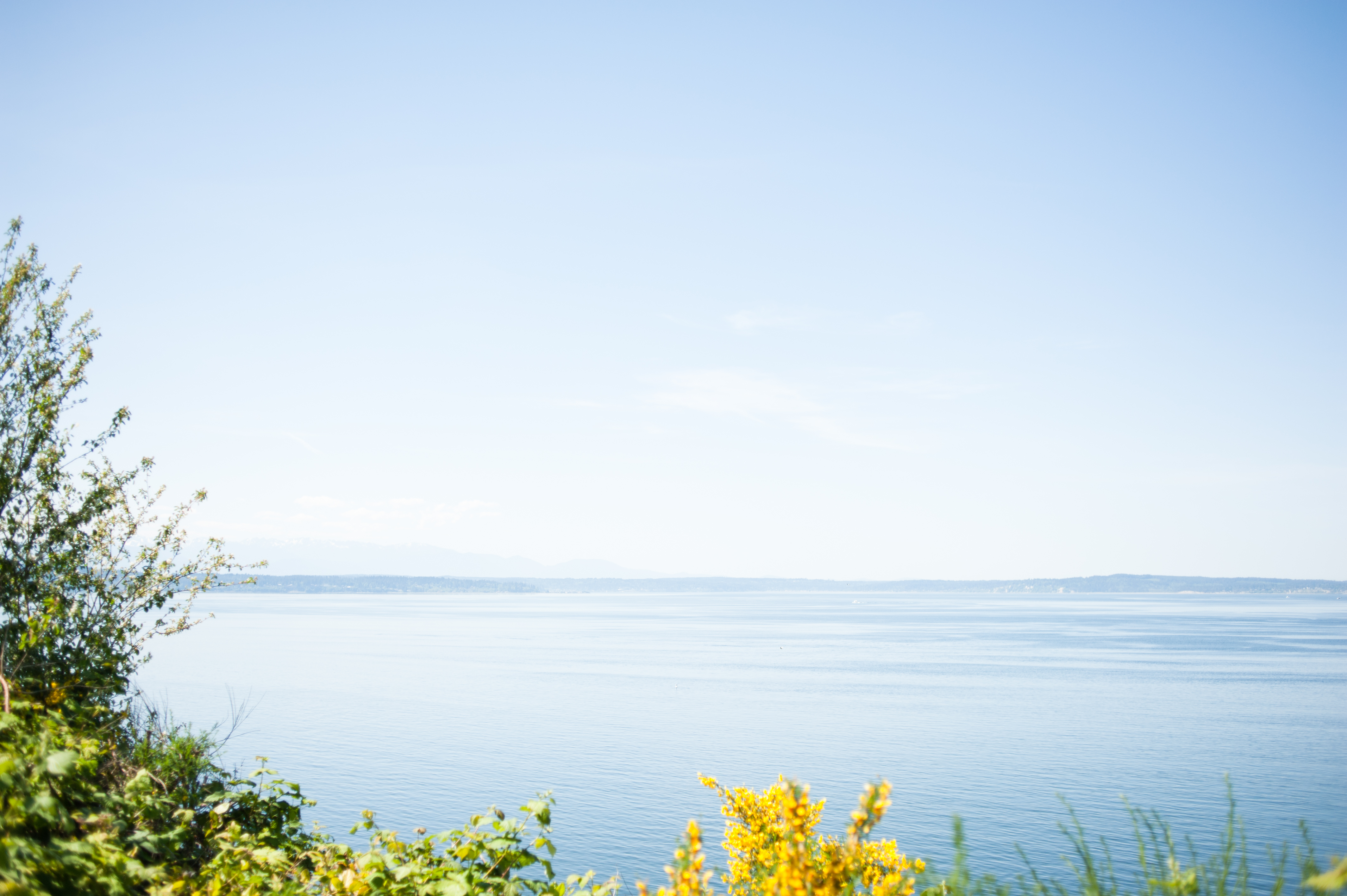 a photograph overlooking the sound near Seattle Washingon