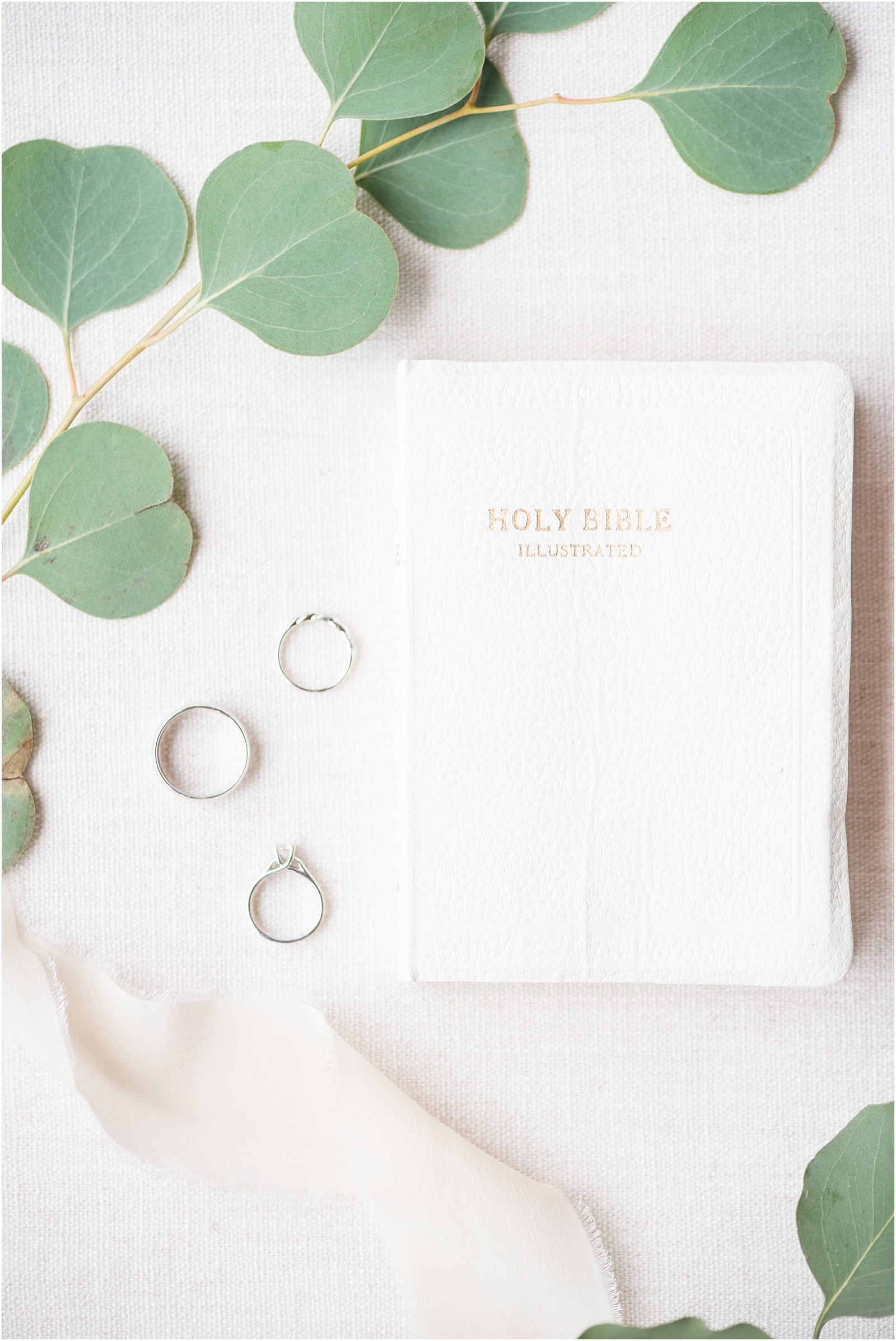 wedding rings laying on a ivory background with green leaves with a holy bible