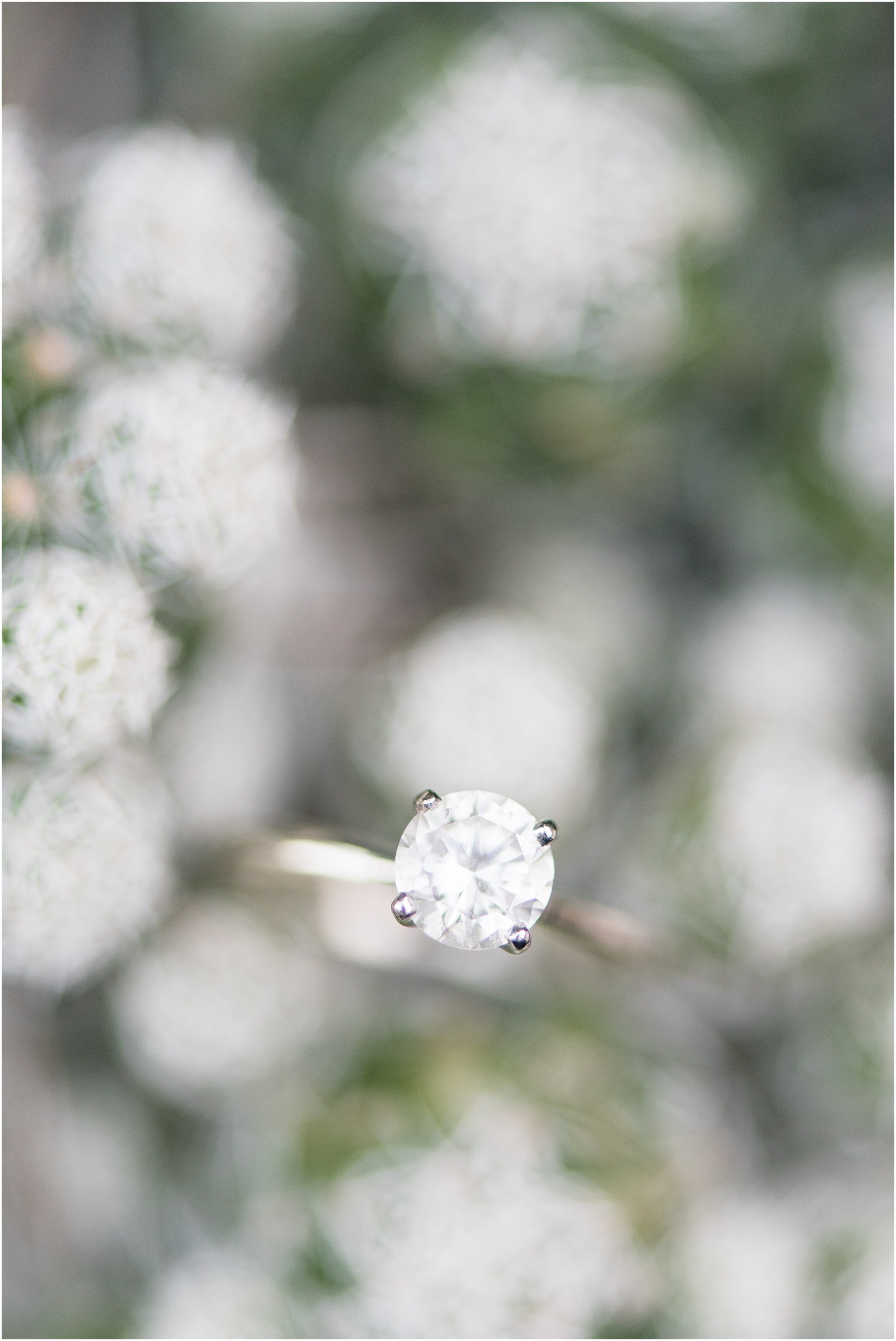 single stone ring photograph nestled in a succulent at Sarah P Duke Gardens