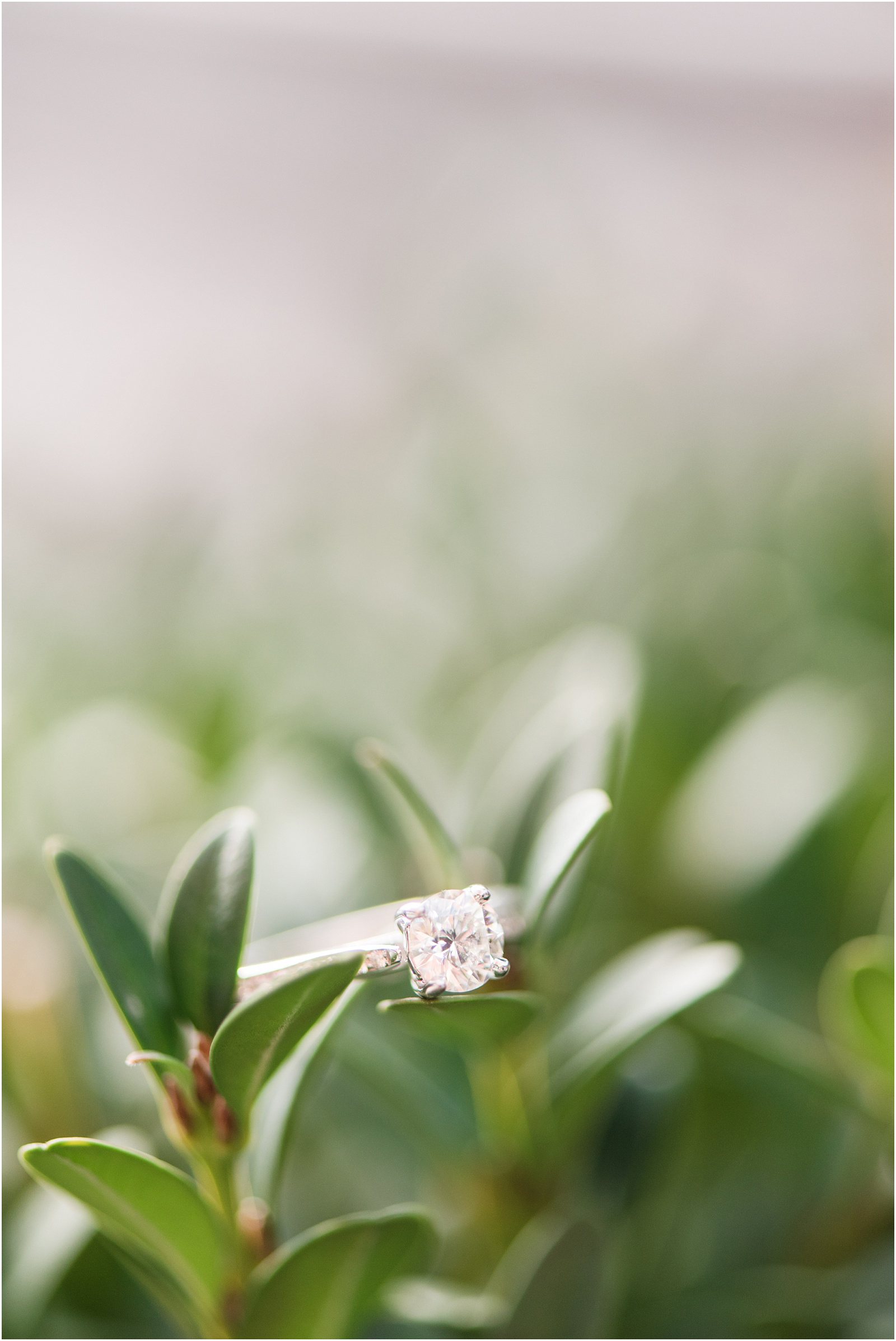 silver band engagement ring sitting on top of green leaf at the American Tobacco Campus District